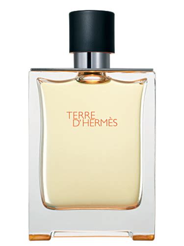 tree hermes|terre hermes cologne 2006.